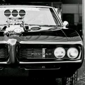 Meet your Posher, Josh